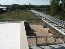 green roof, vegetated roof, energy efficient roof